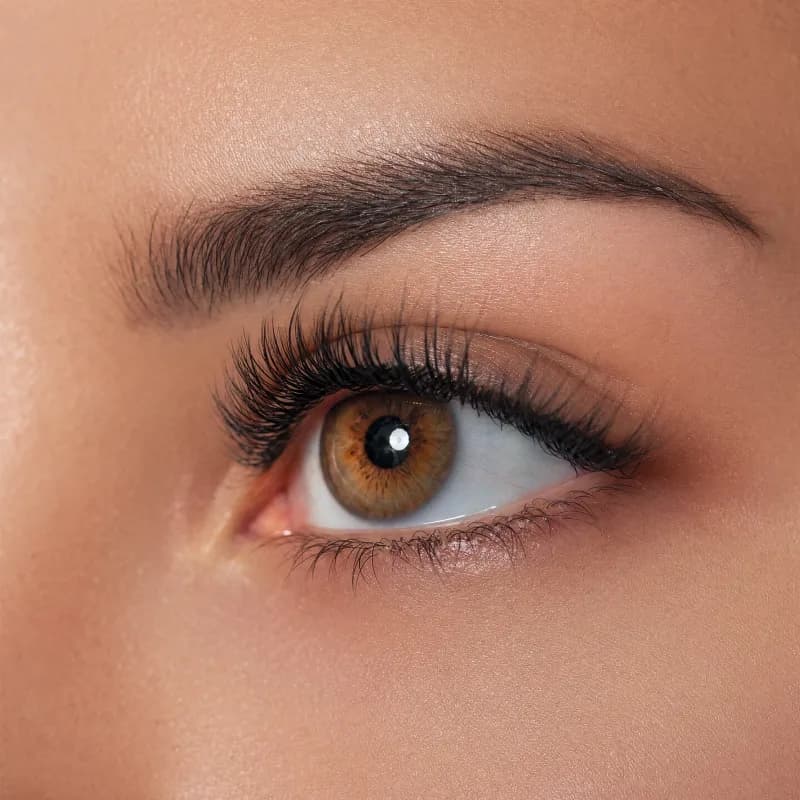Lashes